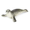 seal (zoology),Plastic【English Packaging】_200866281_1_m