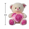 bear toys Plush【English Packaging】_200001277