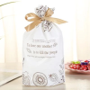 Medium Fruit Candy Bag,one colour only,Plastic【Packaging without Words】_P02568371_2_m