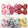 2PCS hair clip【Packaging without Words】_201020203