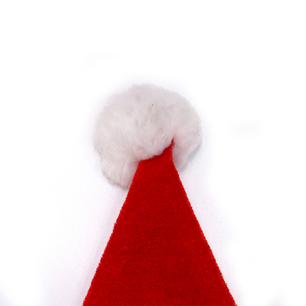 Santa hat