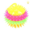 24PCS Massage ball Lights Vinyl【English Packaging】_P01434319_3_m