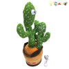 Rechargeable version of swinging recording, tongue learning, two person cactus with USB cable Electric Electric energy Lights Sound Music English language IC With battery Plush【English Packaging】_P02366732_7_m