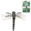 Simulation insect dragonfly ornament,Plastic【English Packaging】_201789586