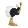 African ostrich spreading its wings  Plastic【English Packaging】_P01884898_2_m