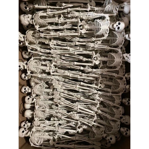 40cm, 60cm standing skeleton