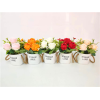 Anti-ceramic pot for roses,Multiple styles,Plastic【Packaging without Words】_P02753334_2_m