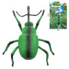 Simulation Insect Weevil Ornament,Plastic【English Packaging】_201789582