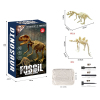 2 Styles DIY Puzzle Dinosaur Fossil Archaeology Set【English Packaging】_P02496573_7_m