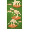 Archaeological Dinosaurs  Plastic【Chinese Packaging】_P02260362_4_m