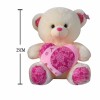 bear toys Plush【English Packaging】_200001273