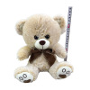 teddy bear (loanword),one colour only,Plush【Packaging without Words】_201628468