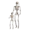 40cm, 60cm standing skeleton Plastic【Chinese English  Packaging】_201134786_1_m