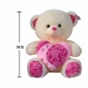 bear toys Plush【English Packaging】_200001271