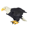 Large white headed sea eagle  Plastic【English Packaging】_200612774