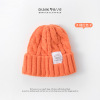 Labeled wool cap,Unisex,56-58CM,Winter Hat,100% acrylic【Packaging without Words】_201511247