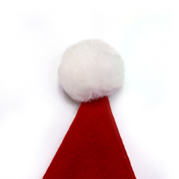 Santa hat