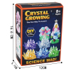 DIY crystal planting (accessories color, style and style are random, instructions are included),Chemical experiment,Plastic【English Packaging】_P02698668_4_m