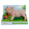 pig Plastic【English Packaging】_200247645_1_m