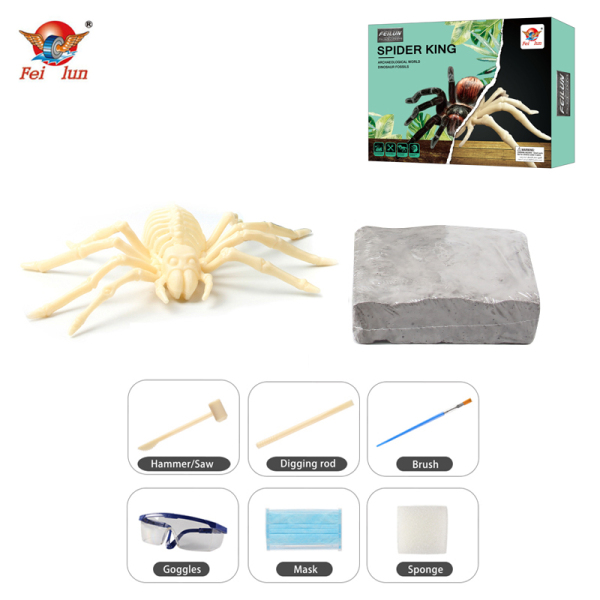 archaeology Gypsum【English Packaging】_200358673_hd