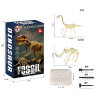 2 Styles DIY Puzzle Dinosaur Fossil Archaeology Set【English Packaging】_201341314_1_m