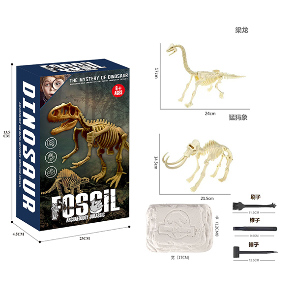 2 Styles DIY Puzzle Dinosaur Fossil Archaeology Set【English Packaging】_201341314_hd