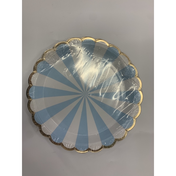 10PCS plates