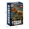 2 Styles DIY Puzzle Dinosaur Fossil Archaeology Set【English Packaging】_P02496573_6_m