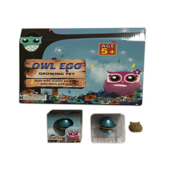 12PCS Owl egg Plastic【English Packaging】_200039569_hd