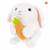 Electric,Sound,IC without language,Plush【Chinese Packaging】_201529199