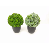 Plastic pots for large plants,Multiple styles,Plastic【Packaging without Words】_201606560