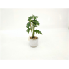 bonsai,Multiple styles,Plastic【Packaging without Words】_P02753233_2_m