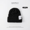 Labeled wool cap,Unisex,56-58CM,Winter Hat,100% acrylic【Packaging without Words】_201511246