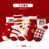 Little Car Cartoon Boneless Socks 5 Pair Set,Boys,S-XL,75% cotton,23% polyester fiber,2%spandex【Packaging without Words】_P02783232_6_m