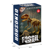 2 Styles DIY Puzzle Dinosaur Fossil Archaeology Set【English Packaging】_P02496573_5_m