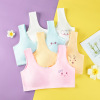 Girls' Anti convex Point Underwear with Developing Small Vest (12pcs/Middle Bag) 5% spandex 95% cotton Girls M-L Double decker 【Packaging without Words】_P02804167_2_m