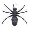 Simulation Insect Spider Ornament,Plastic【English Packaging】_P02939437_22_m