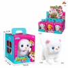 6PCS Plush Cat 3 colors,Electric,Sound,IC without language,Plastic【English Packaging】_P02845558_5_m