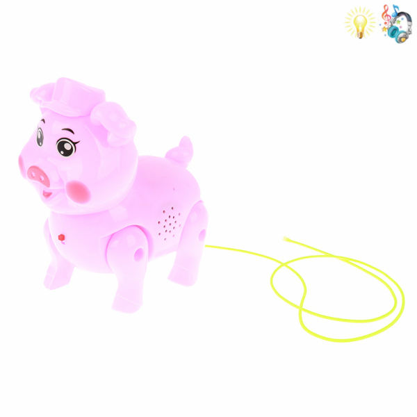 pig