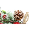 Christmas Plugin【Packaging without Words】_P02151865_12_m