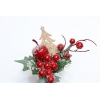 Christmas Plugin【Packaging without Words】_P02151841_8_m