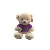 Plush bear Plush【English Packaging】_200195319