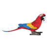 Standing Colorful Macaw  Plastic【English Packaging】_200612392