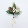 Christmas Plugin【Packaging without Words】_P02151857_10_m