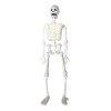 skeleton Plastic【Packaging without Words】_200548488_1_m