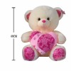 bear toys Plush【English Packaging】_200001267