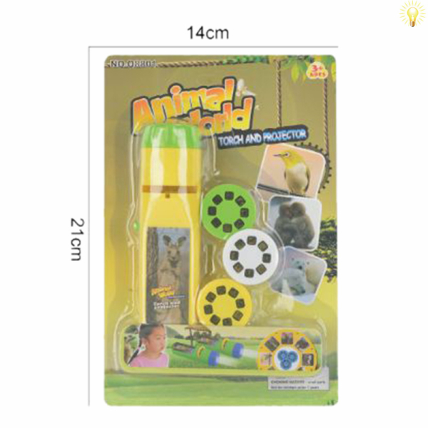 Flashlight set