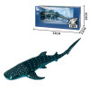 13-inch whale shark,Plastic【English Packaging】_201133904