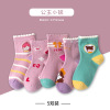 Princess Cartoon Boneless Socks 5 Pairs,Girls,S-XL,75% cotton,23% polyester fiber,2%spandex【Packaging without Words】_P02783208_14_m