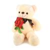 bear Plush【English Packaging】_P01993230_4_m